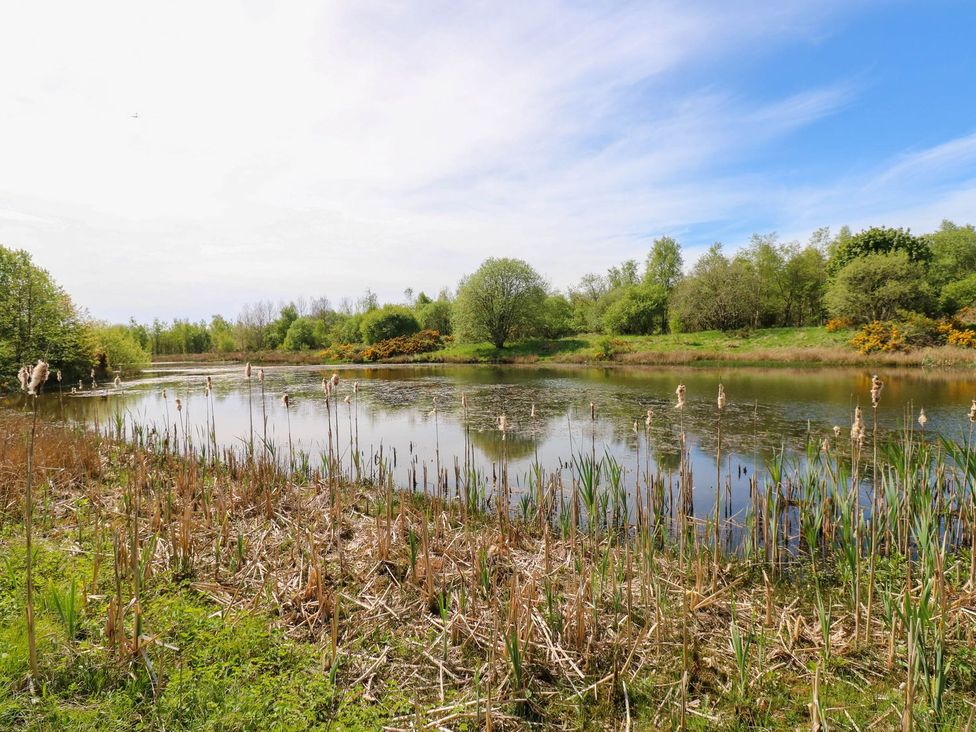 A pond surrounded by trees and grass at Sycamore Cottage in Frizington