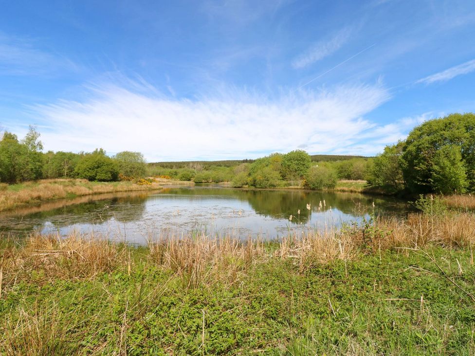 A pond surrounded by grass and trees at Sycamore Cottage in Frizington