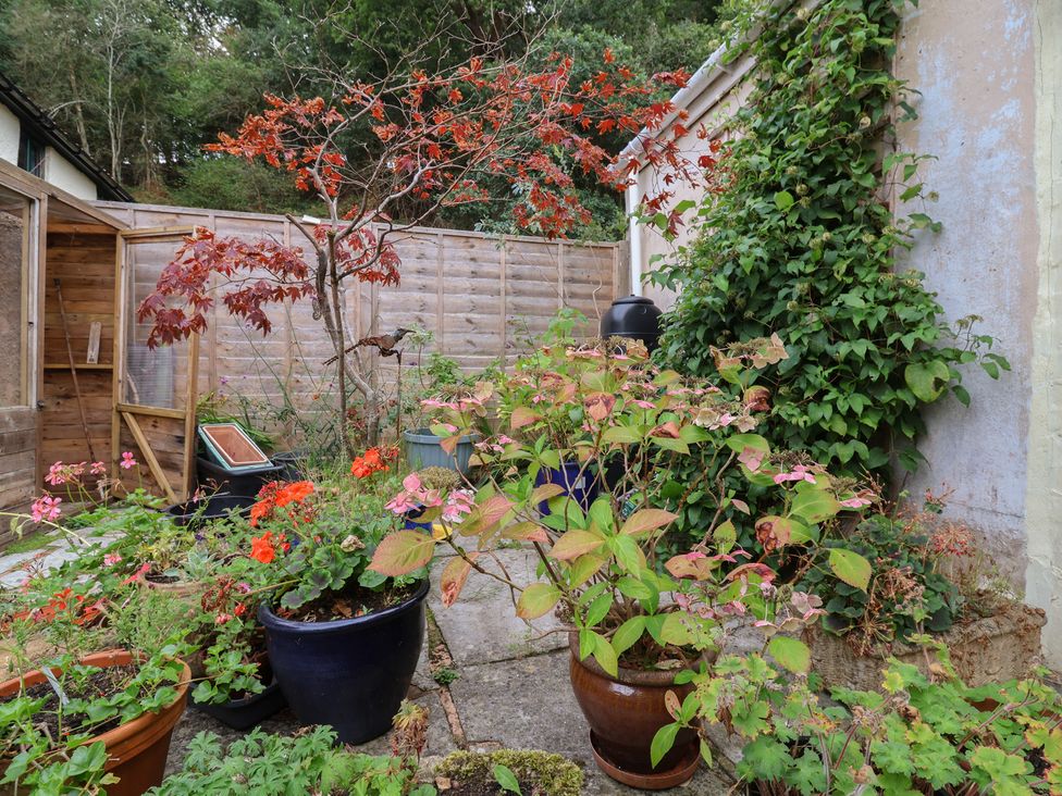 A garden with various potted plants and a wooden fence at The Cottage in Bridgwater