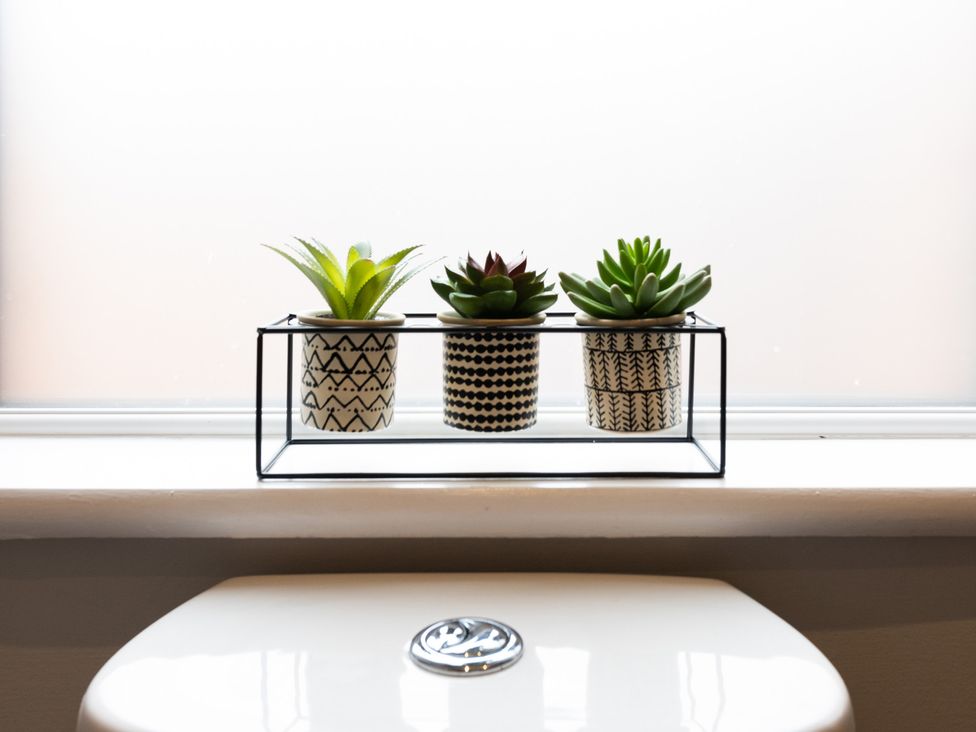 A display of three plants on a window sill above a toilet at 38 Ashville Avenue, Scarborough