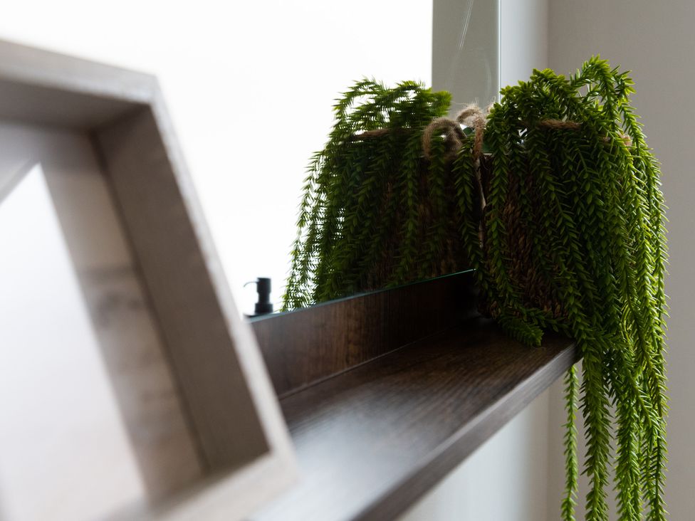 A shelf with a potted plant and a decorative box at 38 Ashville Avenue, Scarborough