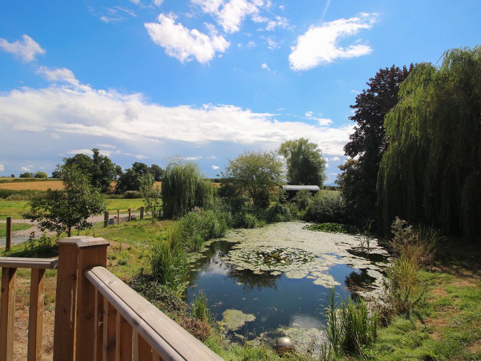 A pond surrounded by trees and grass at The Old Mill in Great Bolas near Telford