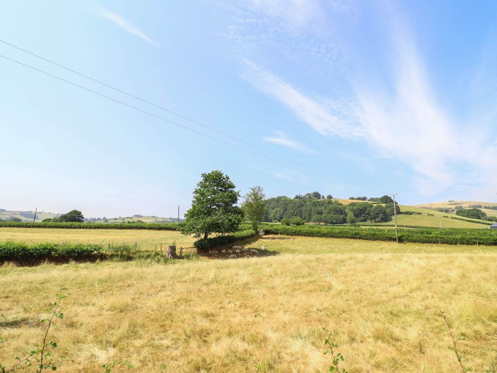 A field with a tree and hills in the background at Pwll Glas Caersws