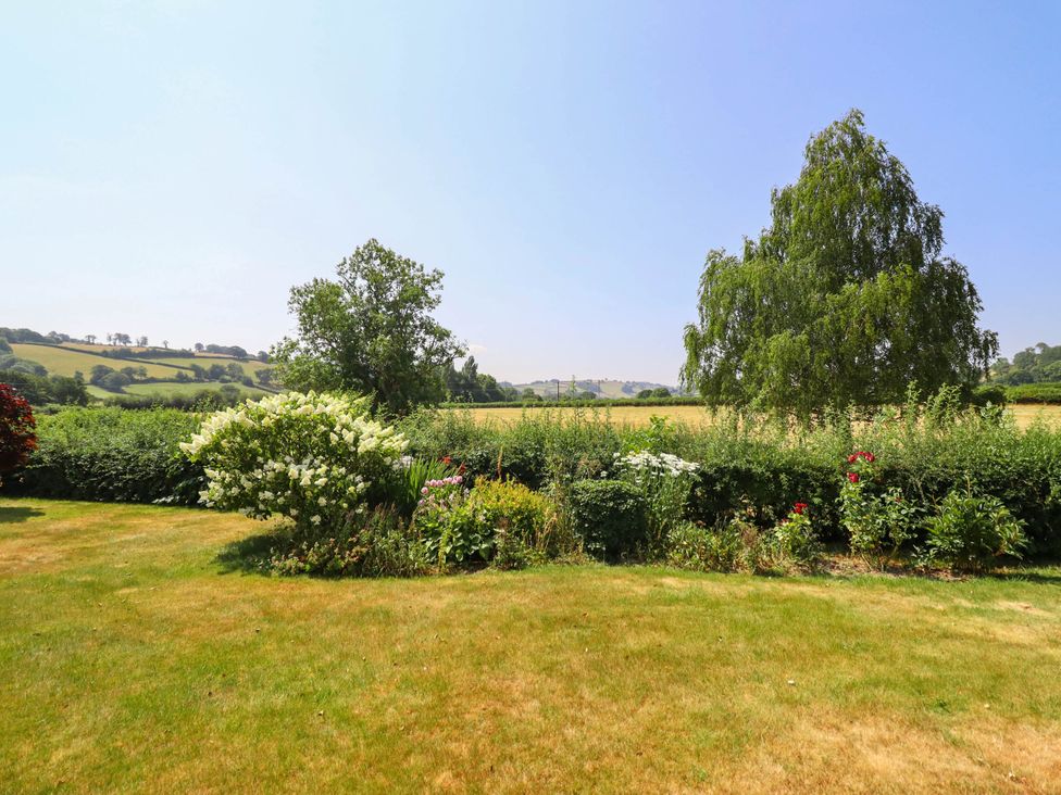 A garden with grass and flowers at Pwll Glas in Caersws