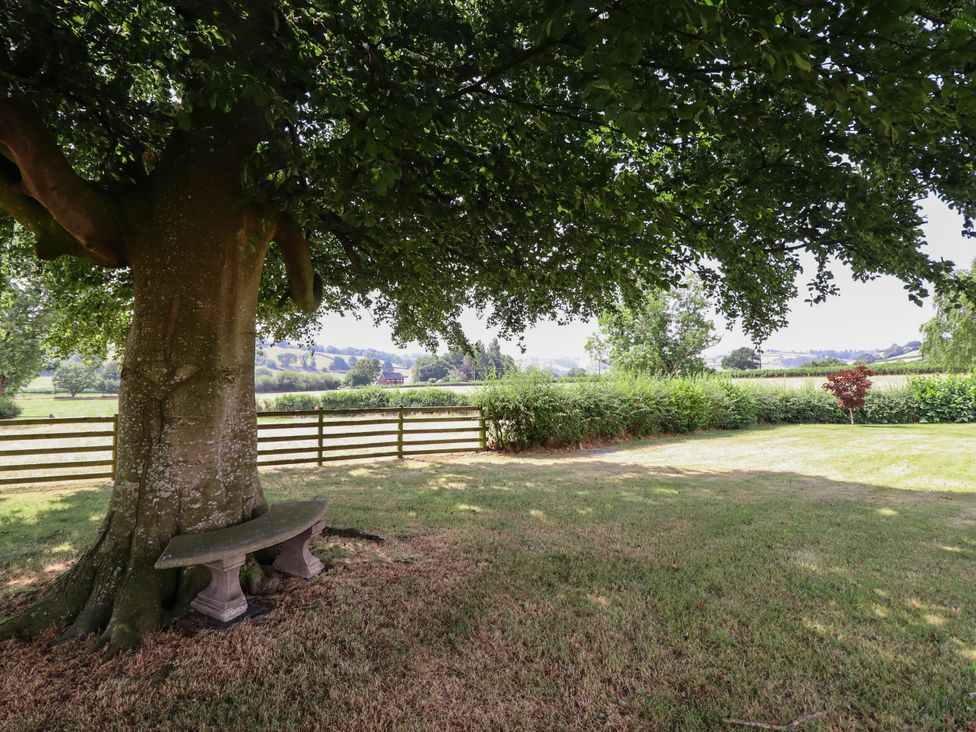 A garden with a tree, bench, and fence at Pwll Glas Caersws