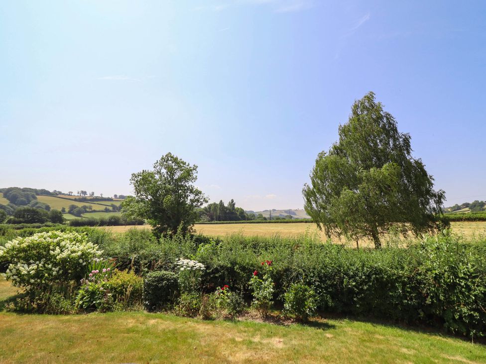 A view of a field with trees and bushes at Pwll Glas in Caersws
