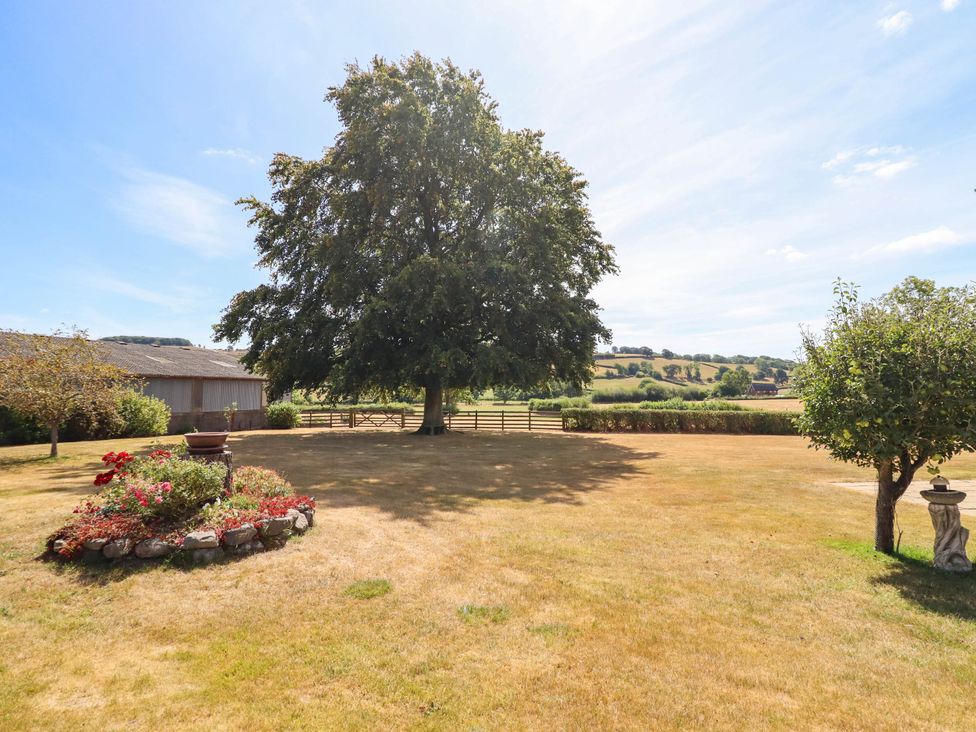 A garden with a tree and flowers at Pwll Glas in Trefeglwys