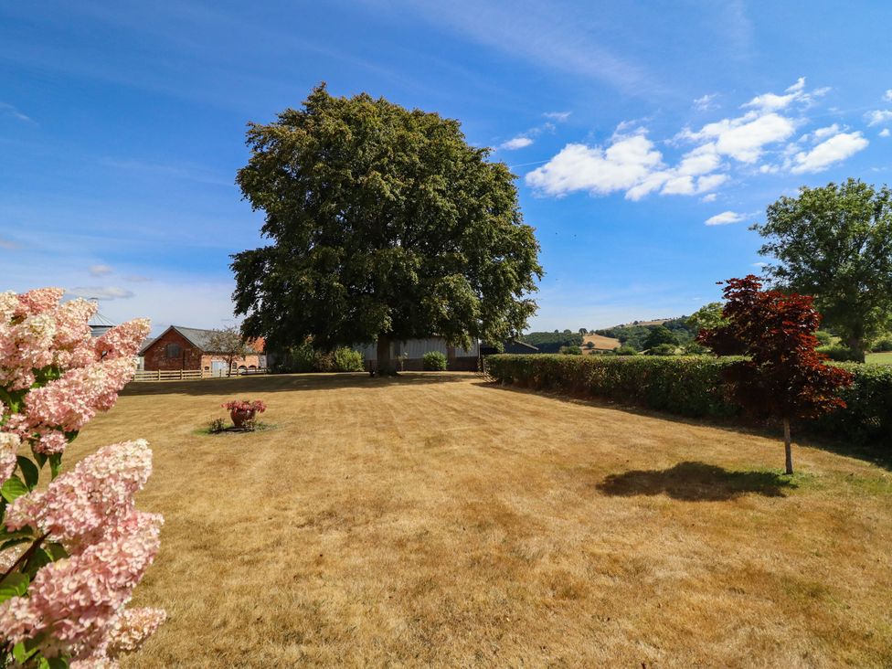 A garden with grass and trees at Pwll Glas in Trefeglwys
