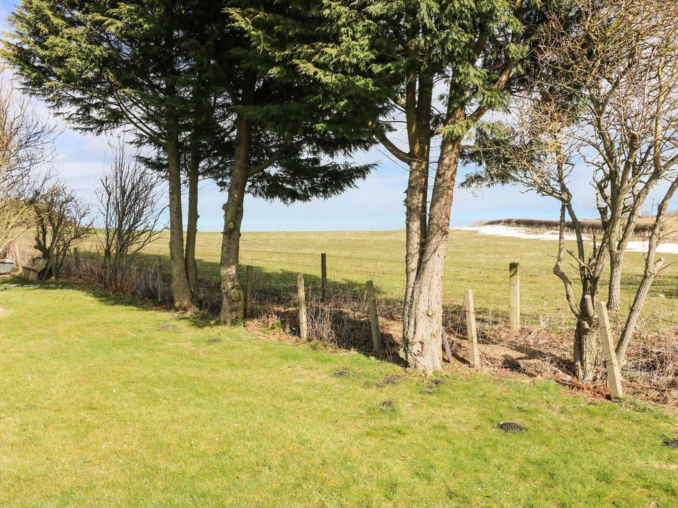 A grassy area with trees and a fence at Canny Cottage in Belford