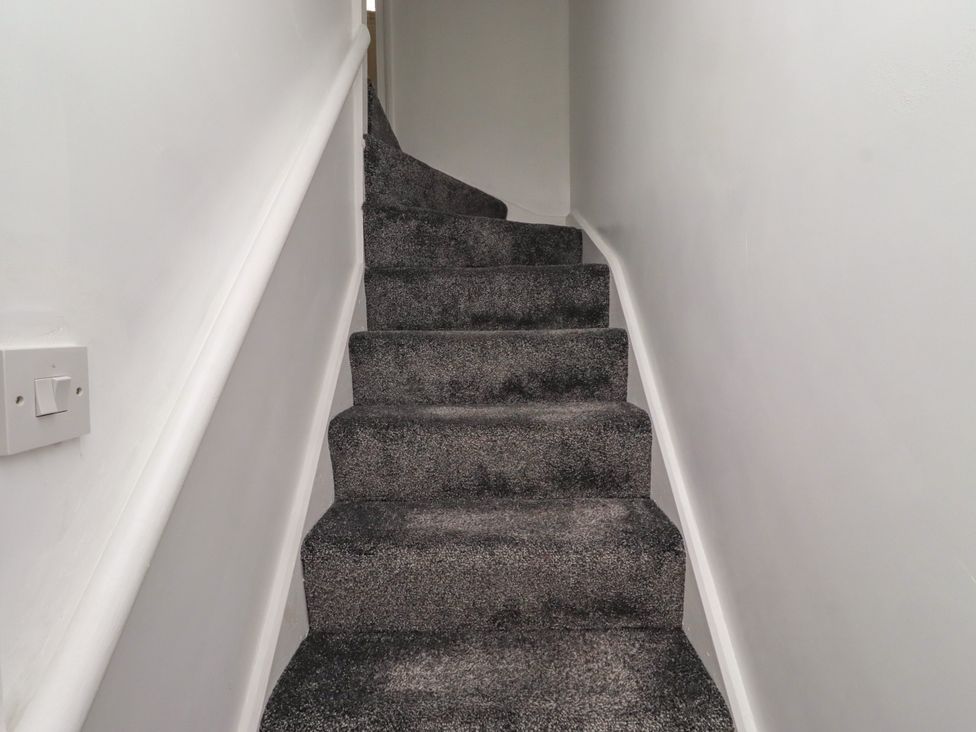 A staircase with carpet and a handrail at 19 Dunstan View Seahouses