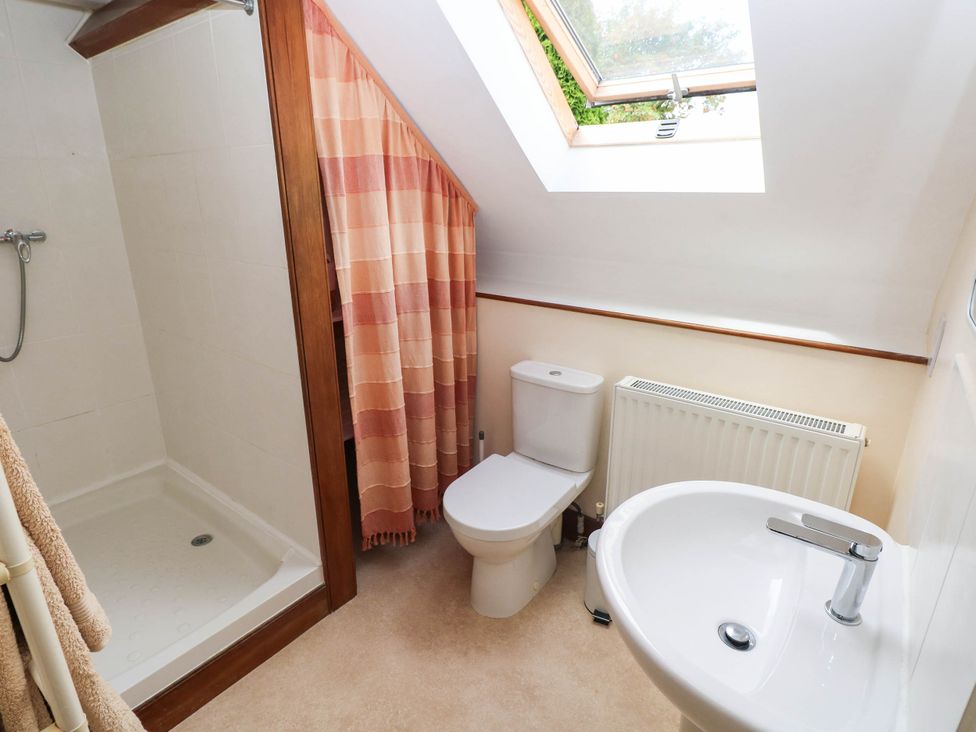 A bathroom with a shower and toilet at Penrhiwoli Barn Cefn Gorwydd