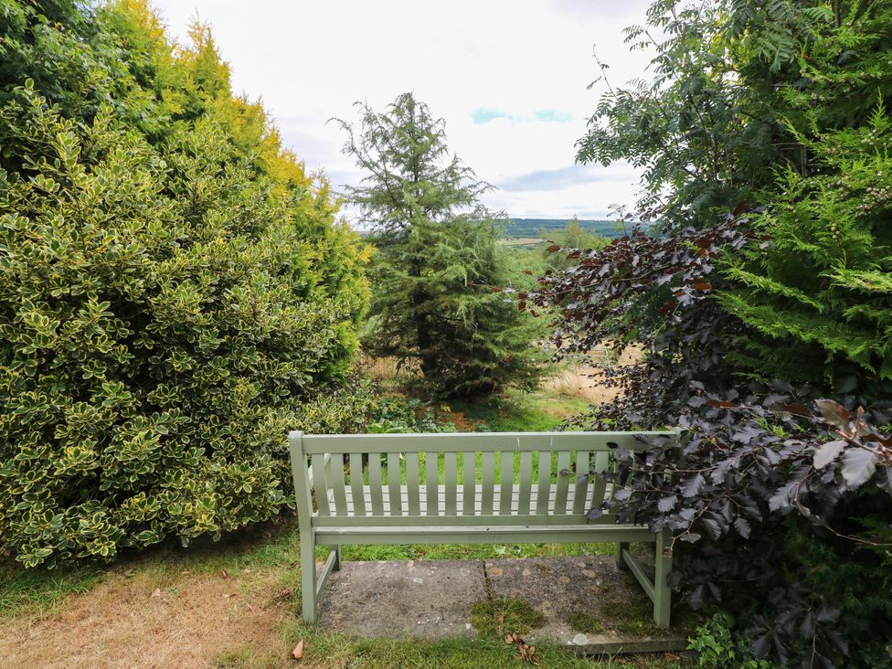A garden with a bench surrounded by trees and bushes at Penrhiwoli Barn Cefn Gorwydd