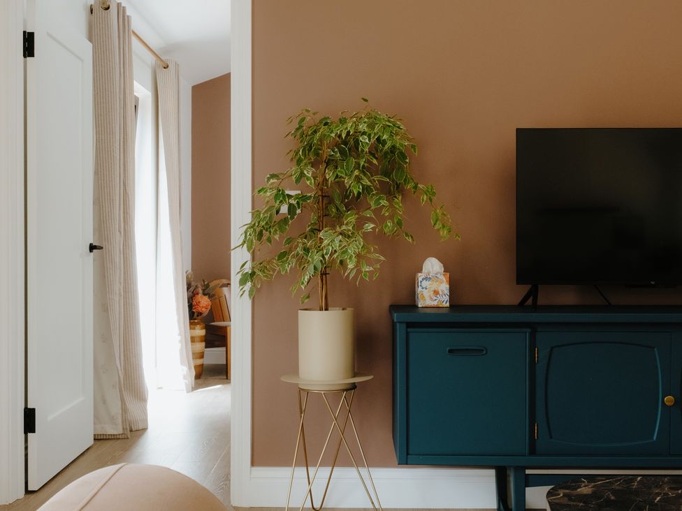 A living room with a plant and television at Baldslow Barn near Hastings
