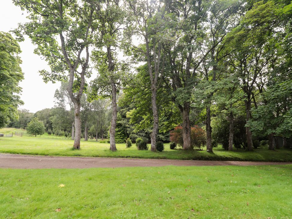 A view of trees and grass in a garden at Tressady Coach House in Rogart
