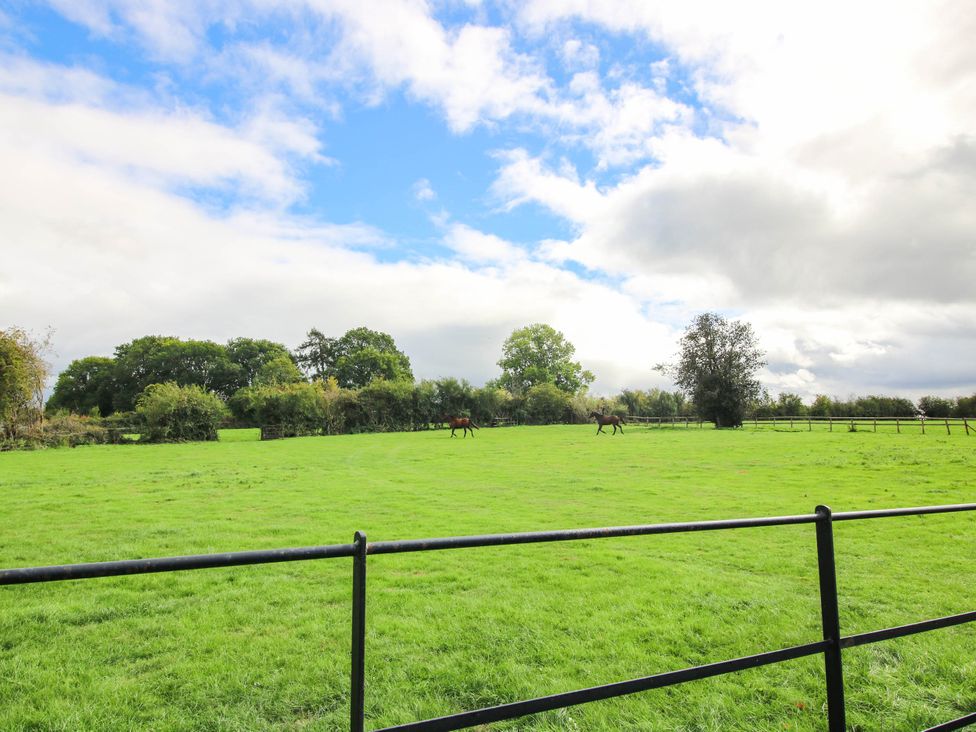 An outdoor space with horses grazing in a field at Stone House Farm in Cobnash near Leominster