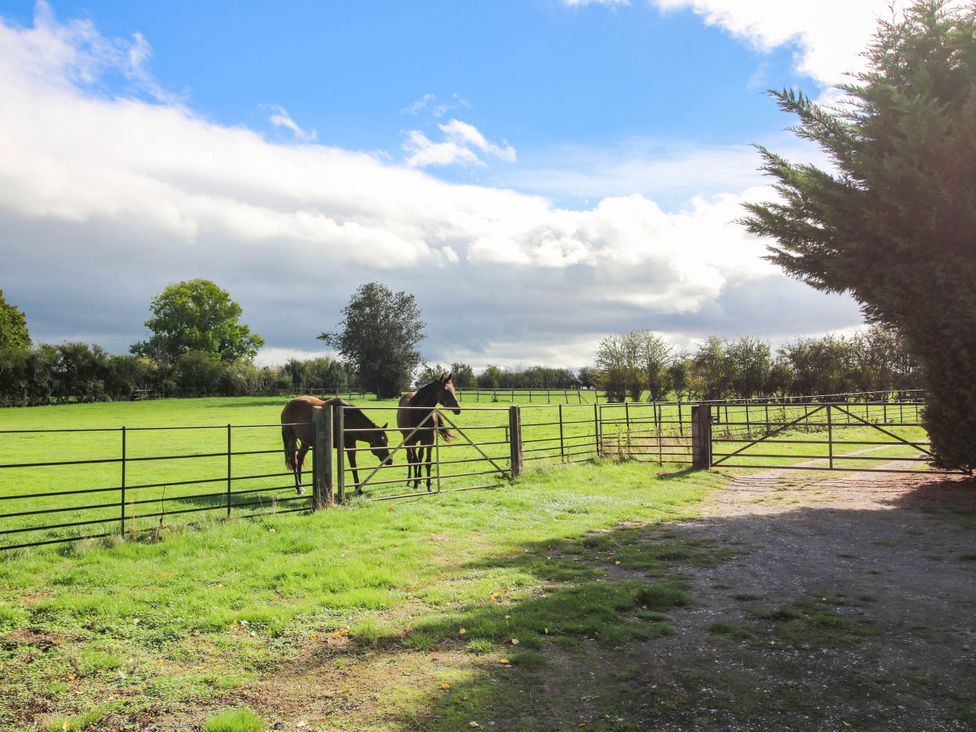 Two horses near a fence in a pasture at Stone House Farm in Cobnash near Leominster