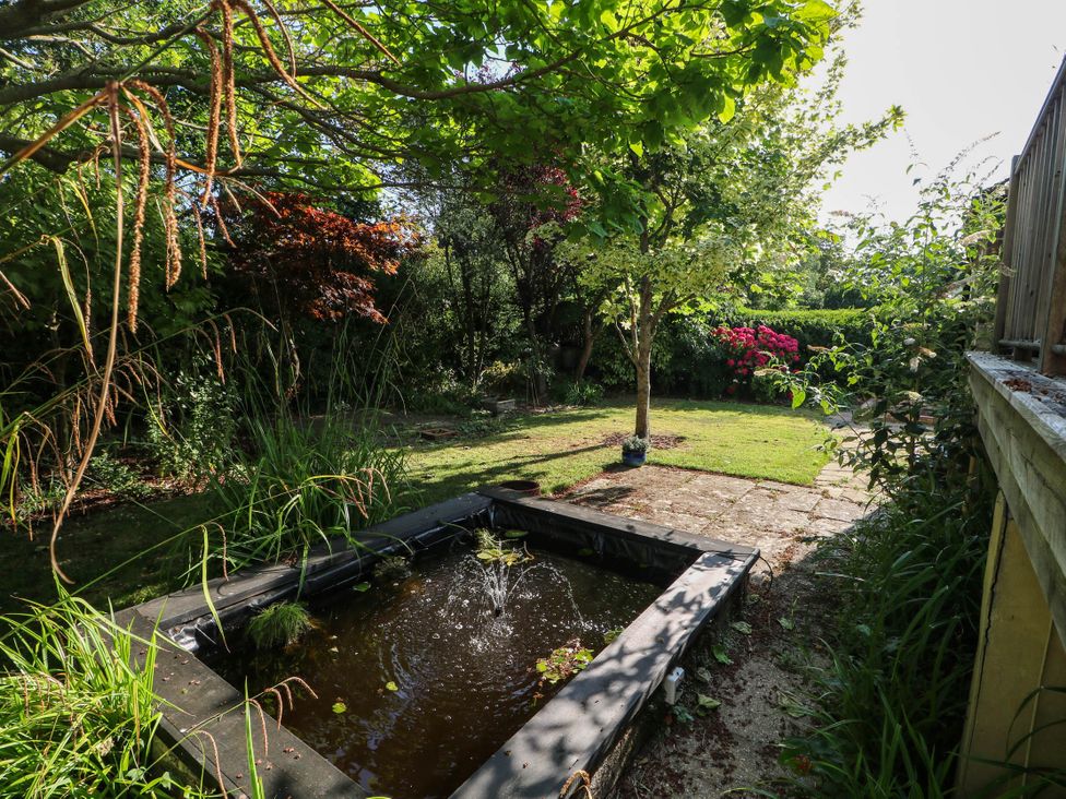 A garden with a pond and trees at 41 Terminus Avenue Bexhill-On-Sea