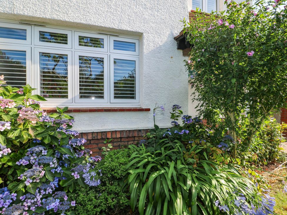 A window with flowers and plants at 41 Terminus Avenue Bexhill-On-Sea