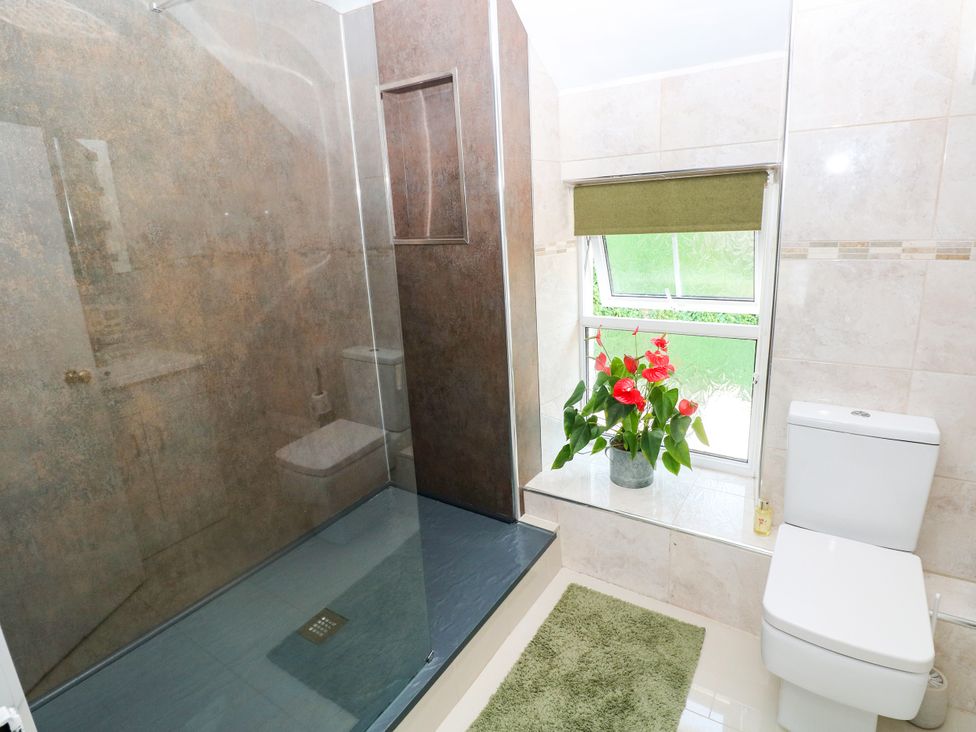 A bathroom with a shower and toilet at St.Twynells Farm in Pembroke
