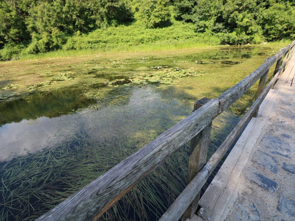 A water body with lily pads and wooden railing at St.Twynells Farm in Pembroke