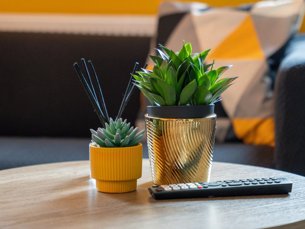 A living room with plants and a remote control on a coffee table at The Craftsman Birmingham City Apartment in Birmingham