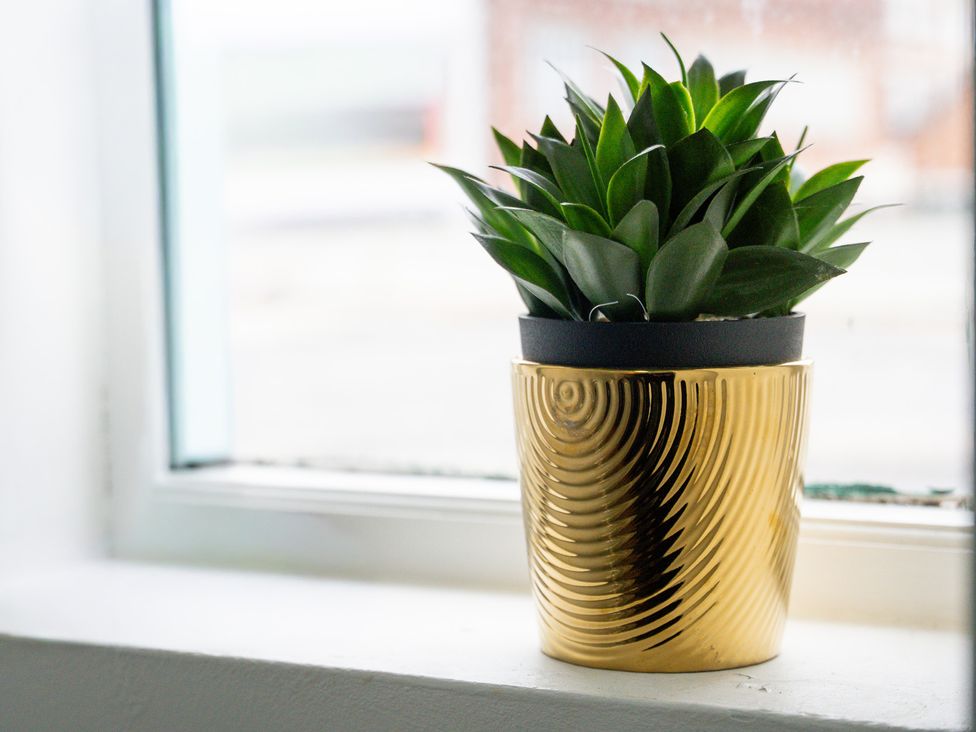 A plant in a gold pot on a window ledge at The Craftsman Birmingham City Apartment Birmingham