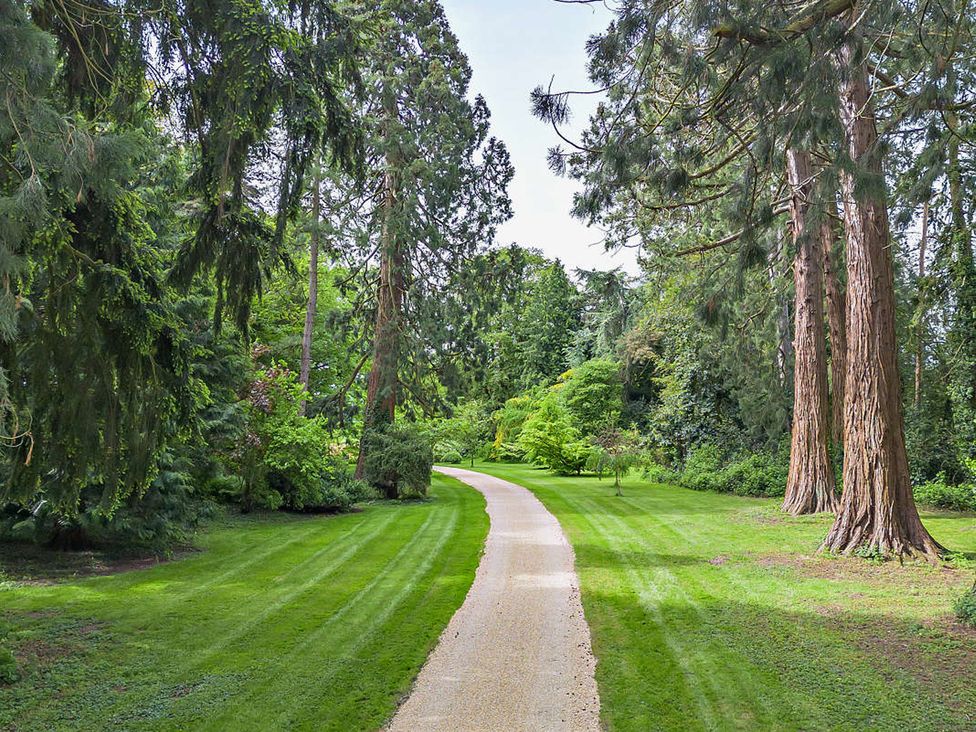 A garden with a pathway and trees at Staunton Park in Leominster