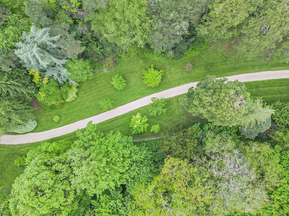 A view of a pathway through trees and grass at Staunton Park in Leominster