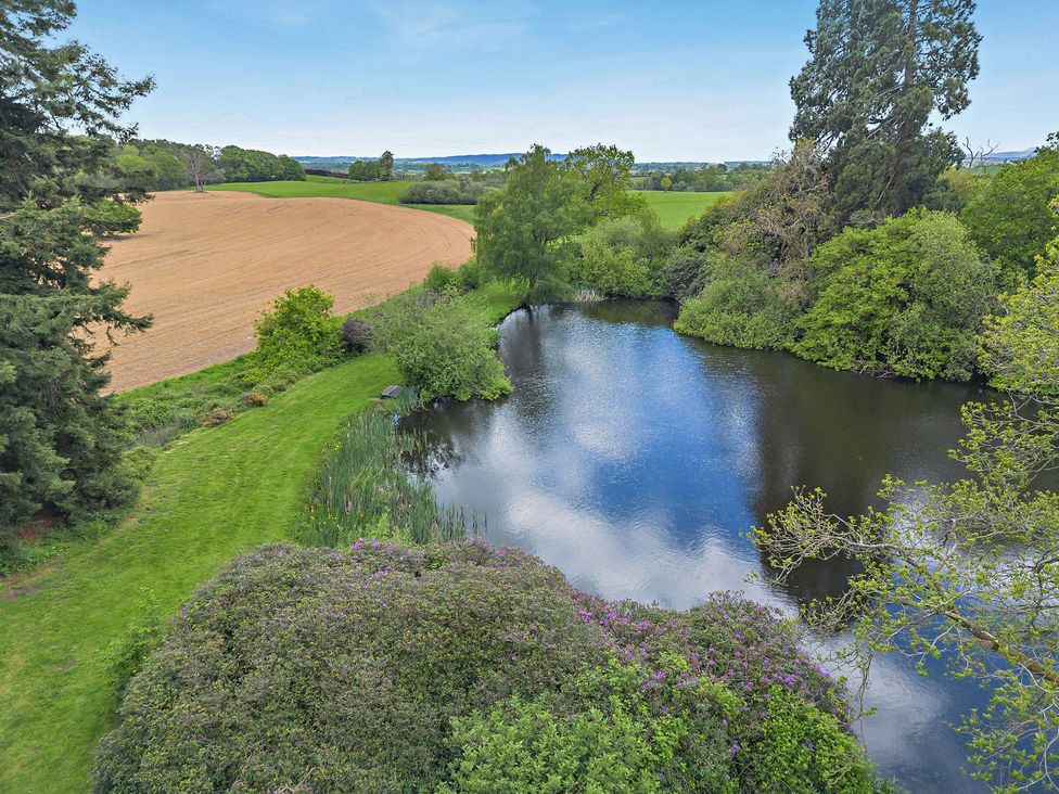 A pond surrounded by grass and trees at Staunton Park in Leominster