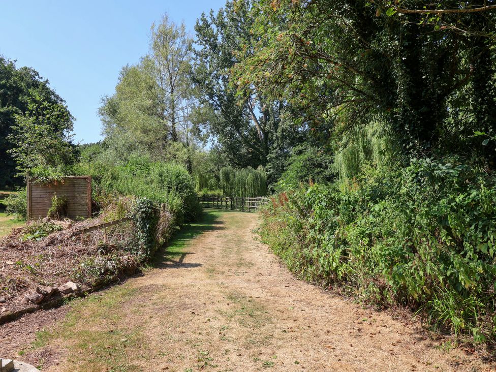 A pathway surrounded by greenery at Down Cottage in Zeal Monachorum