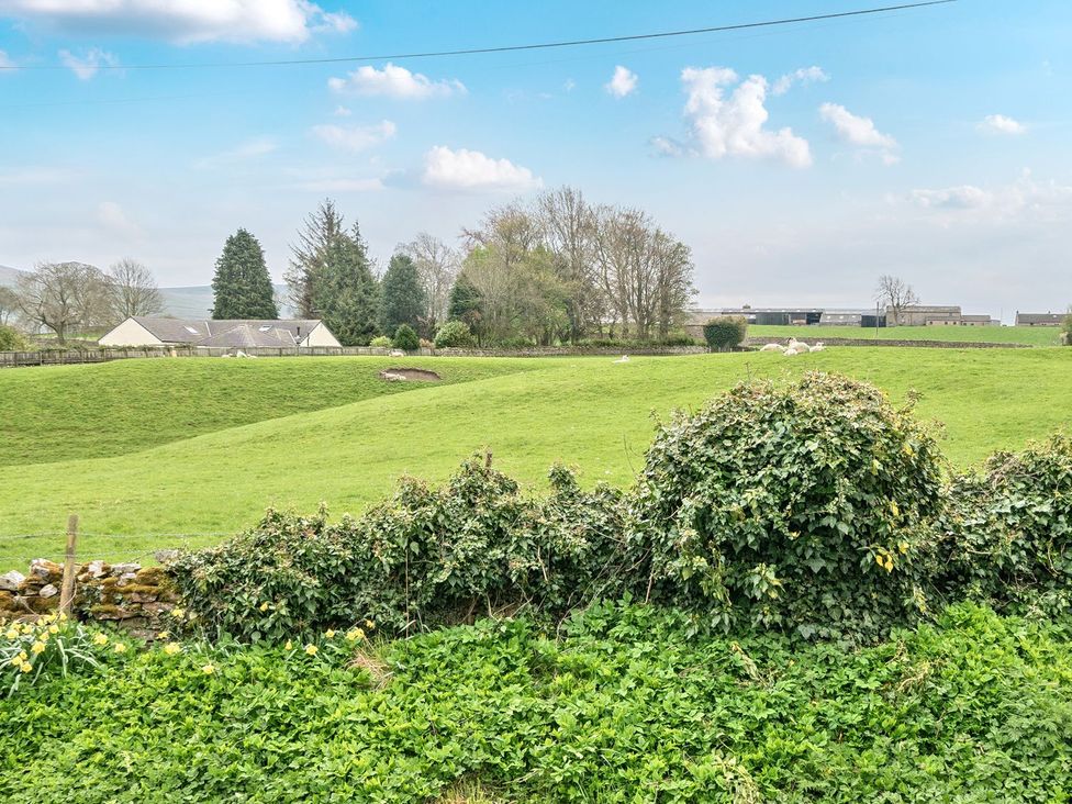 A view of green fields and trees at Hillside House in Leyburn
