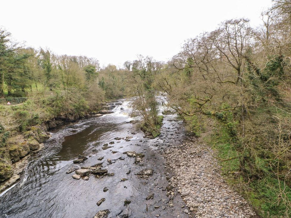 A river flowing through a wooded area at Hillside House Leyburn