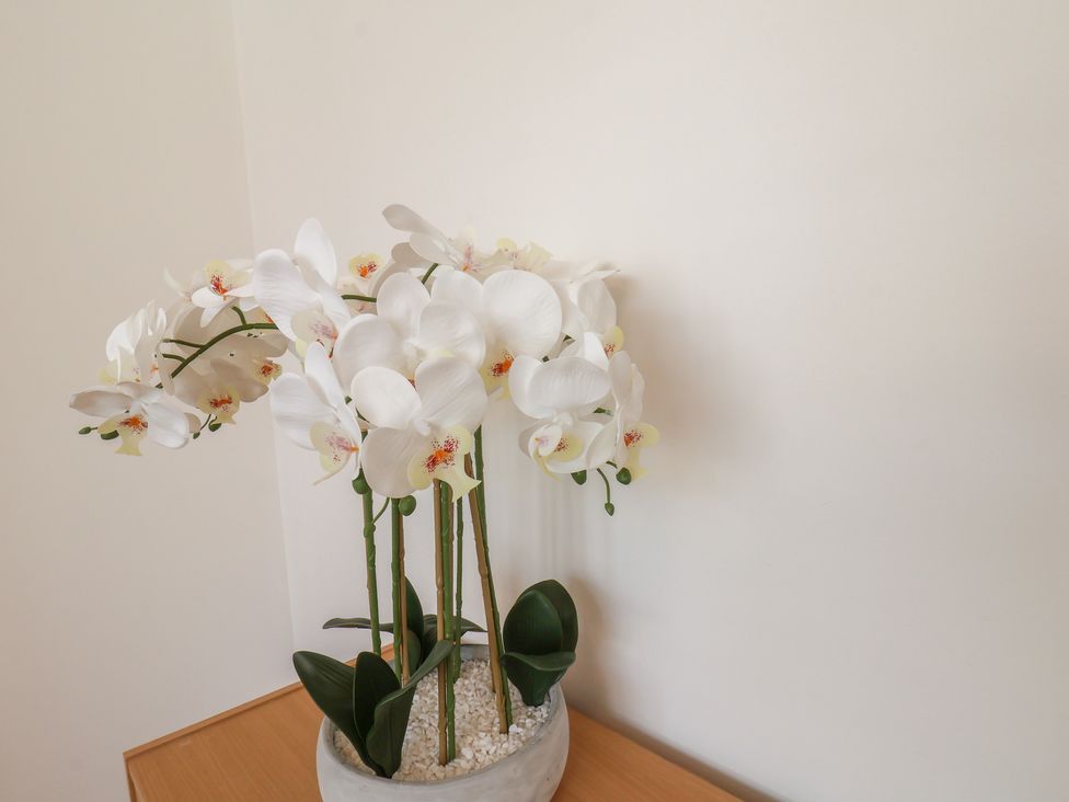 A flower pot with orchids on a table at K & J Holiday House in Bridlington