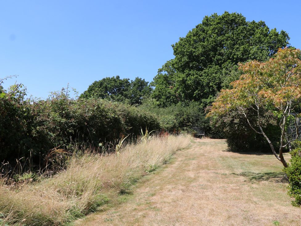 A garden with a path and bushes at Perry Dees in Minstead