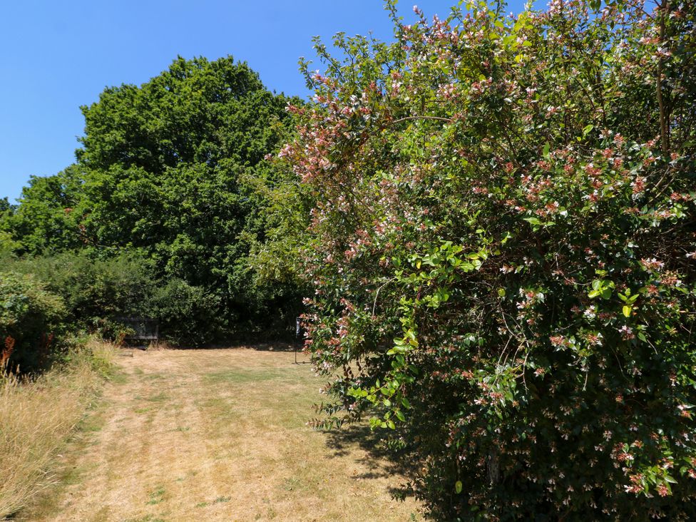 A garden with trees and a path at Perry Dees in Minstead
