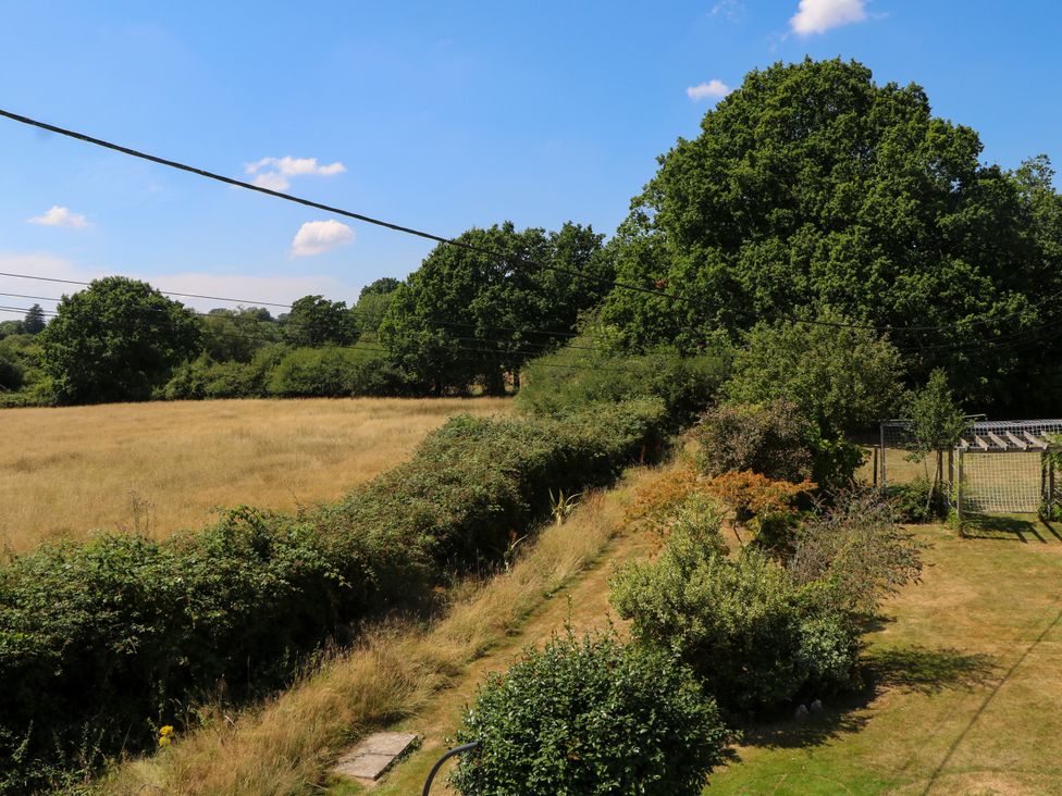 A field with grass and trees at Perry Dees in Minstead