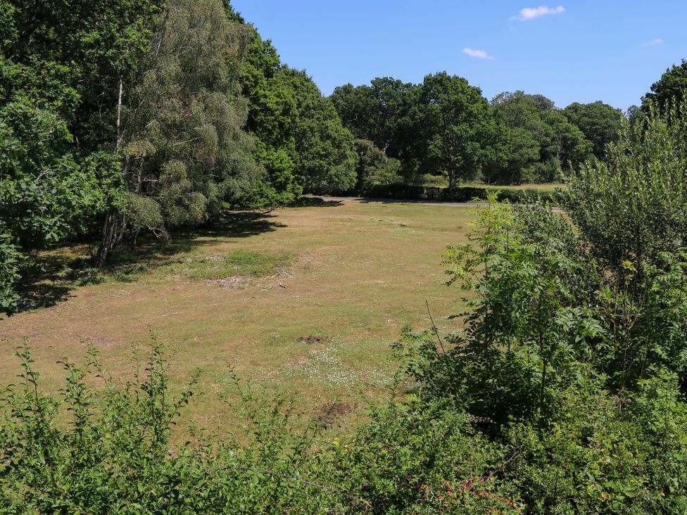 An outdoor area with grass and trees at Perry Dees in Minstead