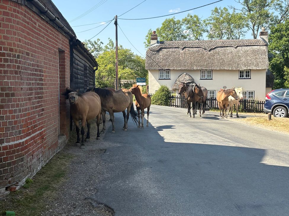 Horses on a road near a thatched roof house at Perry Dees Minstead