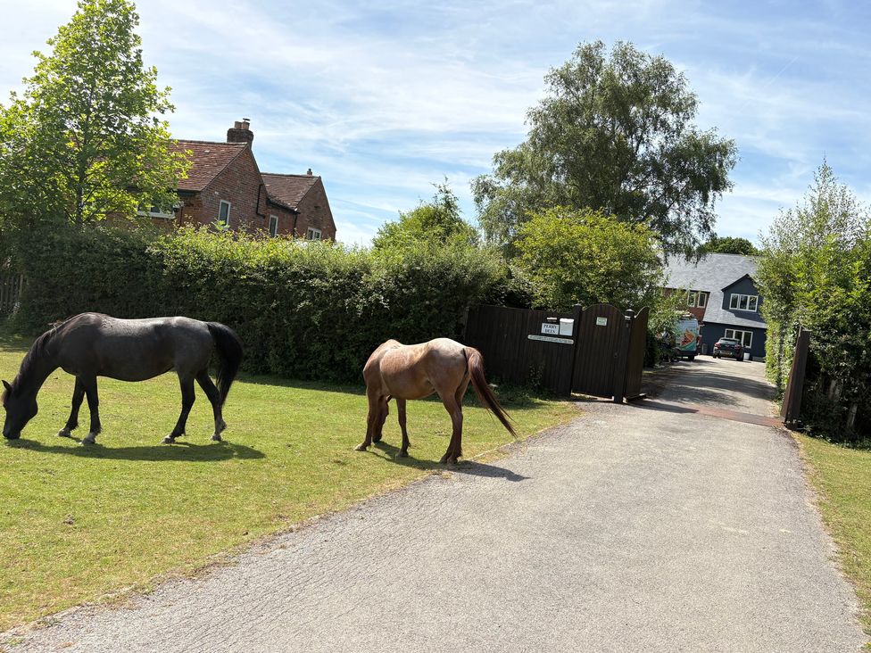 Two horses grazing on grass near a house at Perry Dees in Minstead