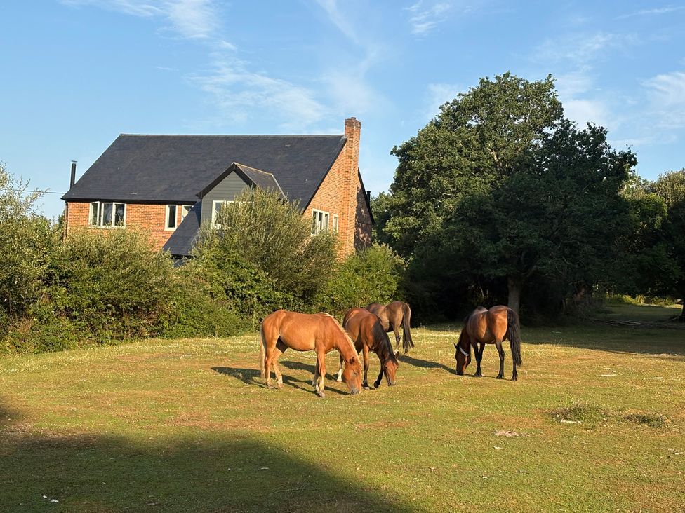 A house with horses grazing in the garden at Perry Dees in Minstead