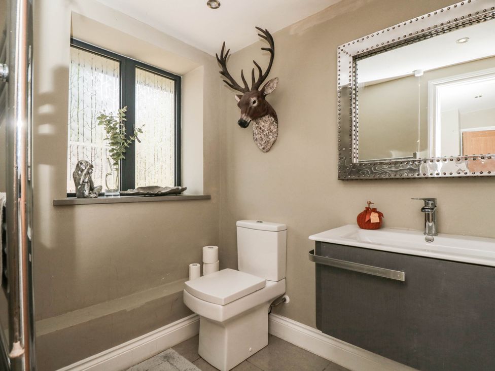 A bathroom with a toilet and sink at Llanfarach Farmhouse near Pontyclun