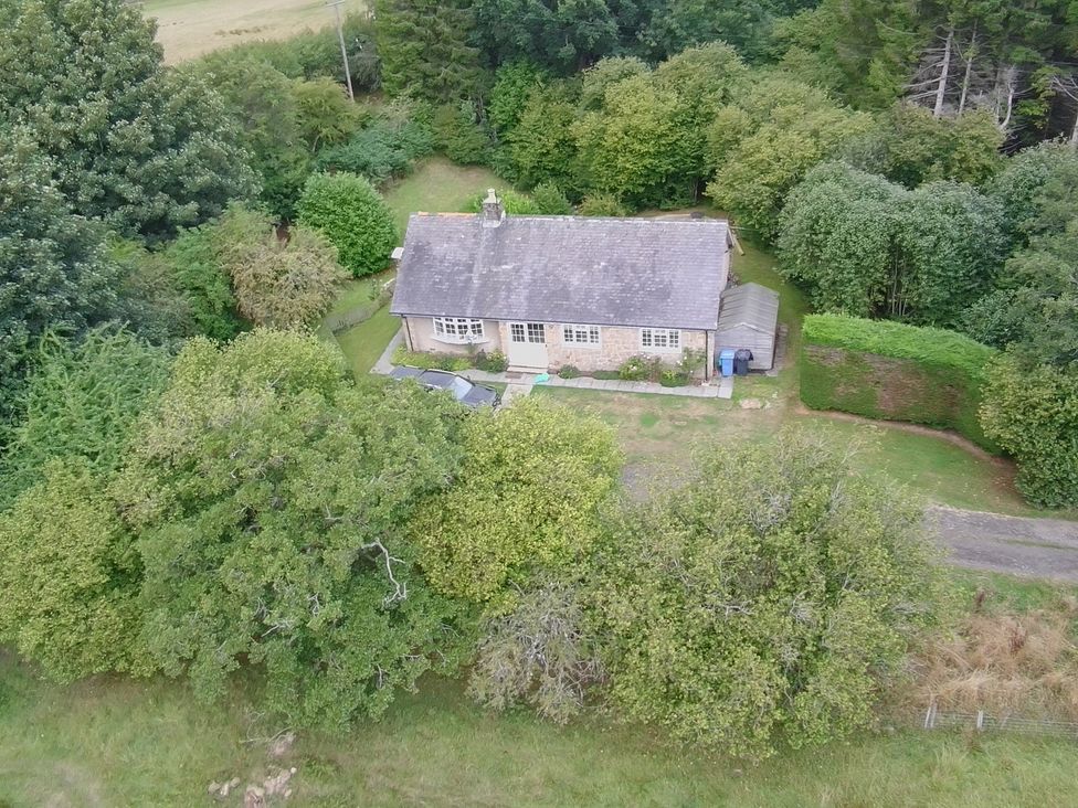 A house surrounded by trees and garden at Hedley Dene Cottage Longhorsley