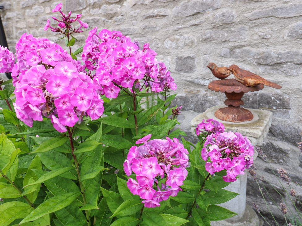 Pink flowers and a bird statue beside a stone wall at Laneside Barn Calver