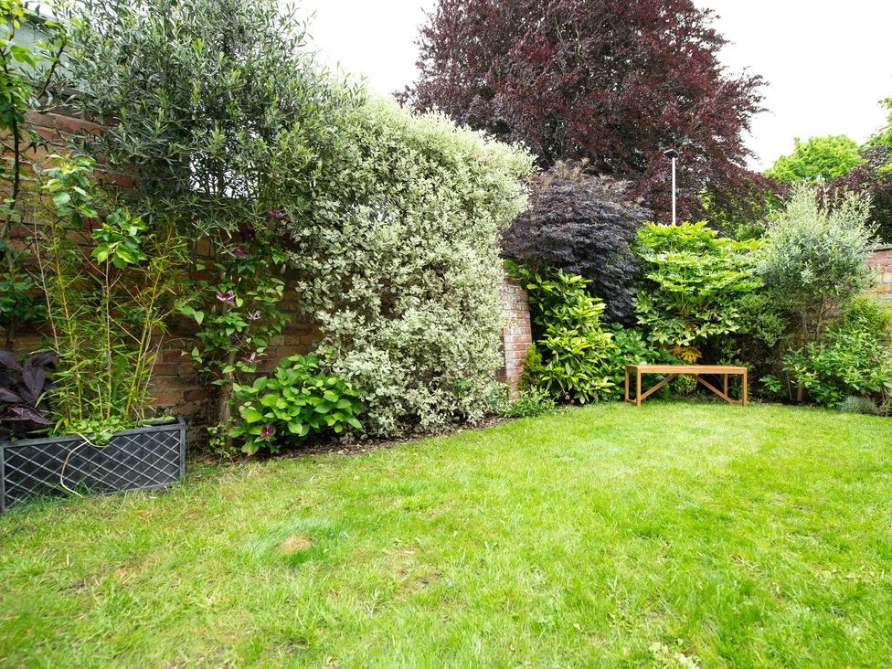 A garden with grass and shrubs at 59 Garfield Road Scarborough