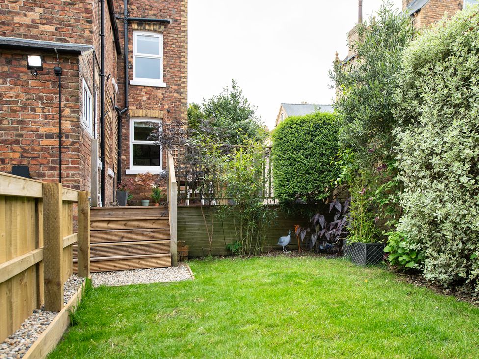 A garden with grass and plants at 59 Garfield Road, Scarborough