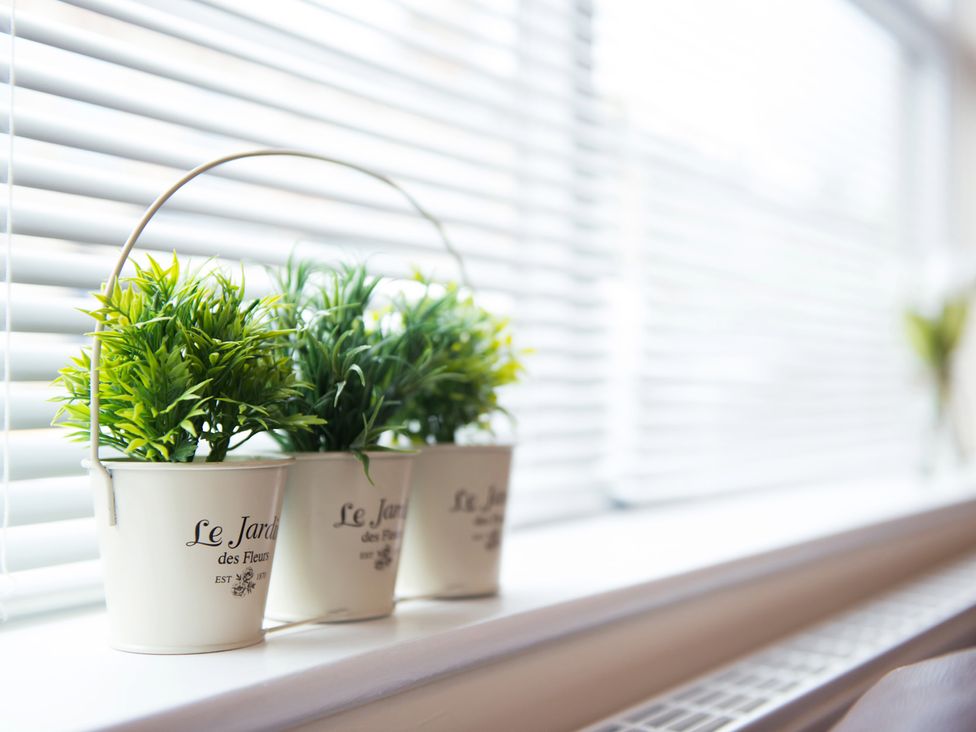 A windowsill with artificial plants in decorative pots at 53 Hampton Road in Scarborough