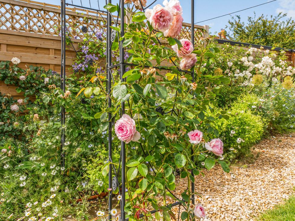 A garden with roses climbing on a trellis at Cottage Sleeps 4 with Enclosed Garden Turville near Henley-On-Thames