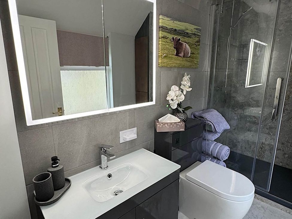 A bathroom with a sink, mirror, toilet, and shower at River Tamar Couples Retreat Dog Friendly Newbridge