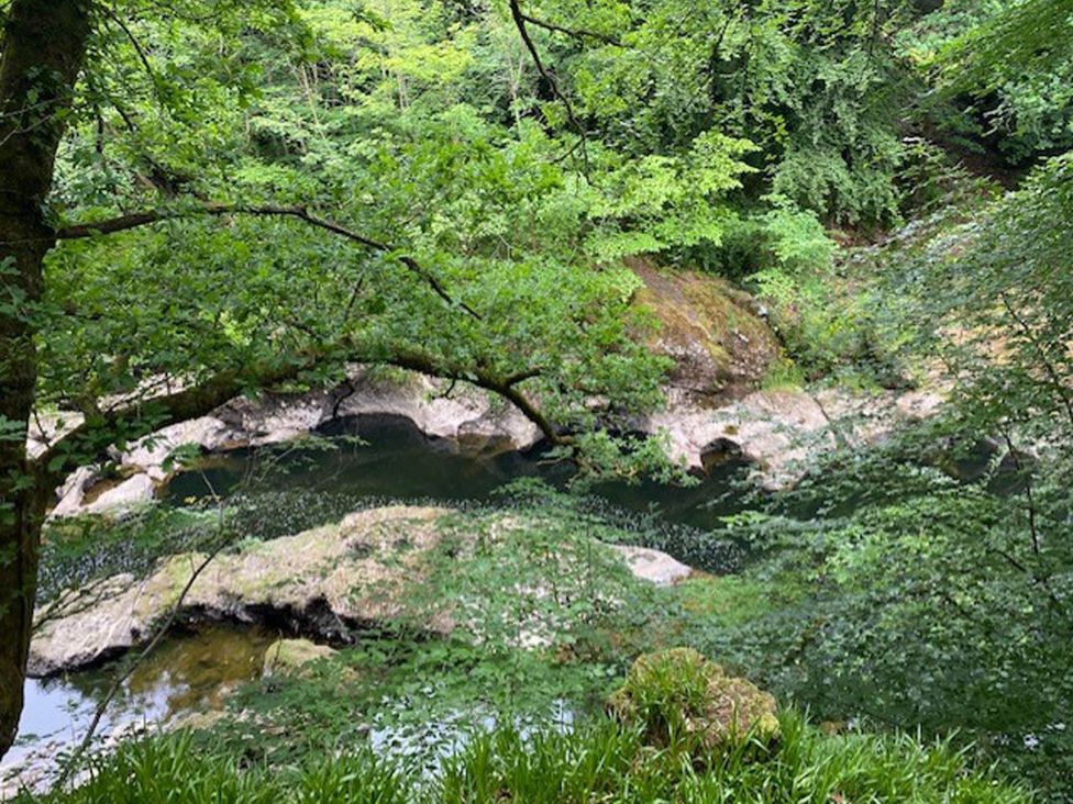 A stream with rocks and trees in a forest setting at Blairgowrie Luxury 3 Bed Lodge with Hot Tub, Blairgowrie