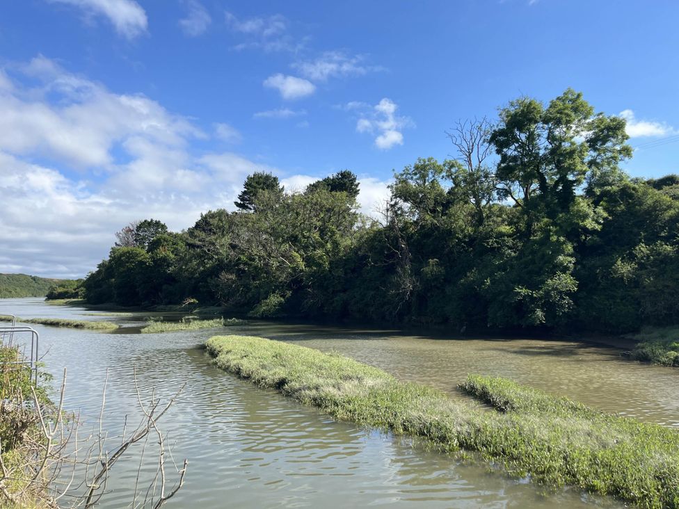 A riverbank with trees and grass at 2 Bedrooms overlooking Little Petherick Creek in Little Petherick